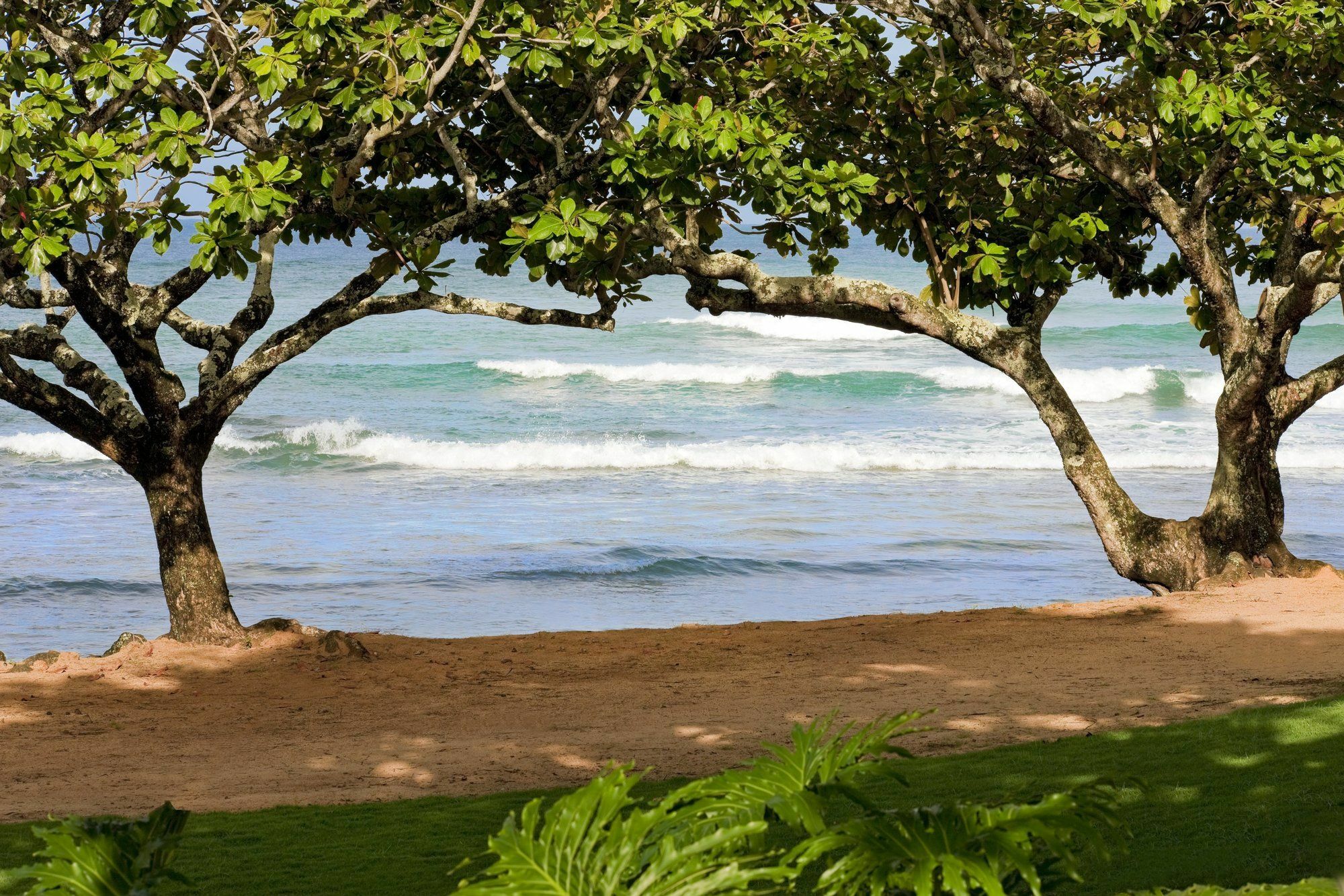 1 Hotel Hanalei Bay Принсвил Екстериор снимка